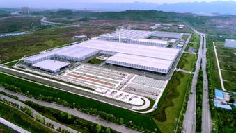 海西汽車網技術開發 驅動未來出行新生態